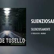 El texto musical DUBLINO de DAVIDE TOSELLO también está presente en el álbum Silenziosamente (2013)