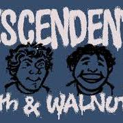 El texto musical RIDE THE WILD de DESCENDENTS también está presente en el álbum 9th & walnut (2021)