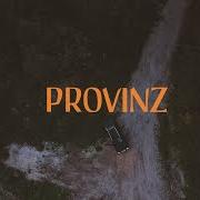 El texto musical NUR FREUNDE de PROVINZ también está presente en el álbum Wir bauten uns amerika (2020)