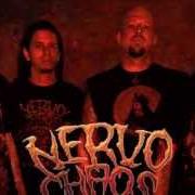 El texto musical FUNERAL RITES (SEPULTURA COVER) de NERVOCHAOS también está presente en el álbum Live rituals (2011)