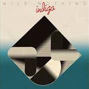 El texto musical DOLLHOUSE de WILD NOTHING también está presente en el álbum Indigo (2018)