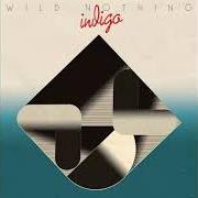 El texto musical CANYON ON FIRE de WILD NOTHING también está presente en el álbum Indigo (2018)