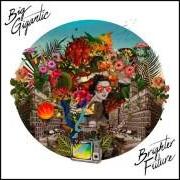 El texto musical NO APOLOGIES de BIG GIGANTIC también está presente en el álbum Brighter future (2016)