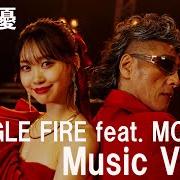 Jungle fire
