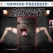 El texto musical GENAU SO EINE de GZUZ también está presente en el álbum Grosse freiheit (2022)