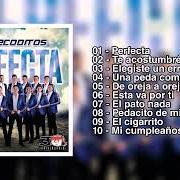 El texto musical PERFECTA de BANDA LOS RECODITOS también está presente en el álbum Perfecta (2019)