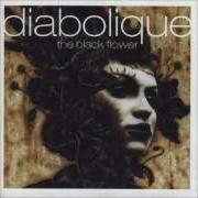 El texto musical SILVER de DIABOLIQUE también está presente en el álbum The black flower (1999)