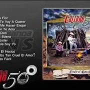 El texto musical EL CULPABLE SOY YO de CALIBRE 50 también está presente en el álbum Desde el rancho (2016)