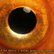 Fase rem Fase rem