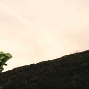 El texto musical MIDDLE OF MY MIND de TOM ROSENTHAL también está presente en el álbum The pleasant trees, vol. 2 (2015)