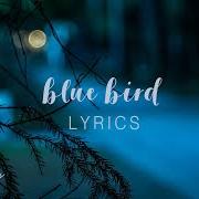 El texto musical BLUE BIRD de ZACHARY KNOWLES también está presente en el álbum Feelings (2018)