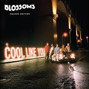 El texto musical I CAN'T STAND IT de BLOSSOMS también está presente en el álbum Cool like you (2018)