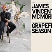 El texto musical HEADLIGHTS de JAMES VINCENT MCMORROW también está presente en el álbum Grapefruit season (2021)