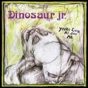 El texto musical SHOW ME THE WAY de DINOSAUR JR. también está presente en el álbum Your living all over me