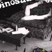 El texto musical WE'RE NOT ALONE de DINOSAUR JR. también está presente en el álbum Beyond (2007)