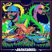 El texto musical BOBBY BONILLA (FEAT. JOELL ORTIZ) de APOLLO BROWN también está presente en el álbum Blacklight (2021)