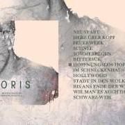 El texto musical FEUERWERK de JORIS también está presente en el álbum Hoffnungslos hoffnungsvoll (2015)