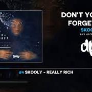 El texto musical RACIST de SKOOLY también está presente en el álbum Don't you ever forget me 2 (2018)