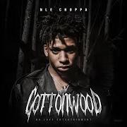 El texto musical SIDE de NLE CHOPPA también está presente en el álbum Cottonwood (2019)