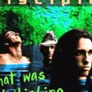 El texto musical ONE DROP de DISCIPLE también está presente en el álbum What was i thinking (1996)