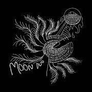 El texto musical STUMBLING 22ND ST de MOON DUO también está presente en el álbum Escape (2010)