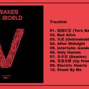 El texto musical DOMINO de WAYV también está presente en el álbum Awaken the world - the 1st album (2020)