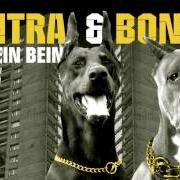 El texto musical AUF STOP! de BONEZ MC también está presente en el álbum Auf teufel komm raus - ep (2013)