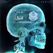 El texto musical MEILLEUR CAUCHEMAR de PLK también está presente en el álbum Mental (2019)