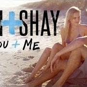 El texto musical PARTY GIRL de DAN + SHAY también está presente en el álbum Where it all began (2014)