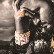 El texto musical NEVER SURRENDER de DJ KHALED también está presente en el álbum Suffering from success (2013)