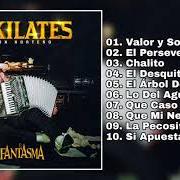 10 kilates: con norteño