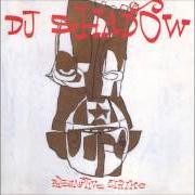 El texto musical STRIKE 2 de DJ SHADOW también está presente en el álbum Preemptive strike (1998)