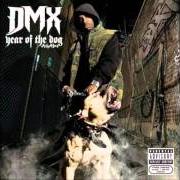 El texto musical GIVE 'EM WHAT THEY WNAT de DMX también está presente en el álbum Year of the dog... again (2006)