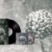 El texto musical LOW TIDE EXPLORATIONS de AES DANA también está presente en el álbum Pollen (2012)