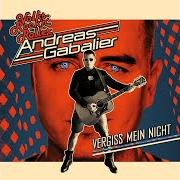 El texto musical VERDAMMT LANG HER de ANDREAS GABALIER también está presente en el álbum Vergiss mein nicht (2018)