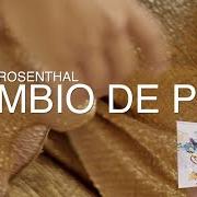 El texto musical EL REFLEJO DE MI AMOR de DENISE ROSENTHAL también está presente en el álbum Cambio de piel (2017)