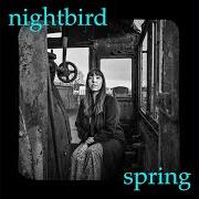 El texto musical NIGHT IN SAGUARO de BRITTAIN ASHFORD & MATT BAUER también está presente en el álbum Day inside a night (2020)