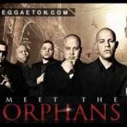 Meet the orphans
