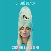 Strange little bird