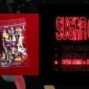 El texto musical OPEN ARMS de LITTLE SIMZ también está presente en el álbum Sugar girl (2026)