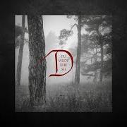 El texto musical LIEBES DUNKLE NACHT de DORNENREICH también está presente en el álbum Du wilde liebe sei (2021)