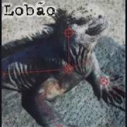 El texto musical CANOS SILÊNCIOSÓS de LOBÃO también está presente en el álbum Lobão (2015)