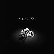 El texto musical A COMMON TERN de ANNA B SAVAGE también está presente en el álbum A common turn (2021)