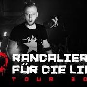 El texto musical MEHR SEIN ALS SCHEIN de SWISS & DIE ANDERN también está presente en el álbum Randalieren für die liebe (2018)