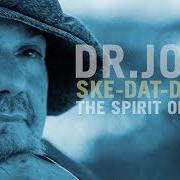 El texto musical WHAT A WONDERFUL WORLD de DR. JOHN también está presente en el álbum Ske-dat-de dat... the spirit of satch (2014)