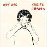 El texto musical BEFORE de WYE OAK también está presente en el álbum Shriek (2014)