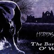 El texto musical LULLABY de DREADFUL SHADOWS también está presente en el álbum Apology (mcd) (2000)