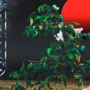 El texto musical LEMON KUSH de OZRIC TENTACLES también está presente en el álbum Paper monkeys (2011)