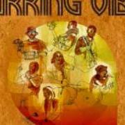 El texto musical LIBERU de WORKING VIBES también está presente en el álbum Su qualsiasi ritmo (2007)