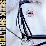El texto musical LOVE KILLS SLOWLY de ICEAGE también está presente en el álbum Seek shelter (2021)
